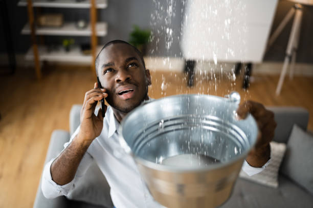 Best Local water damage restoration  in Horton, KS