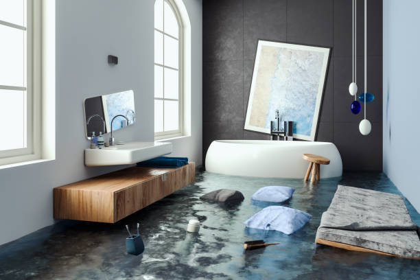 Best Professional water damage repair  in Horton, KS