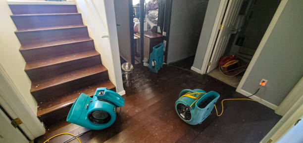 Best 24-hour water damage restoration  in Horton, KS