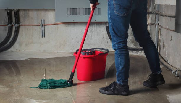 Best Water damage contractors near me  in Horton, KS