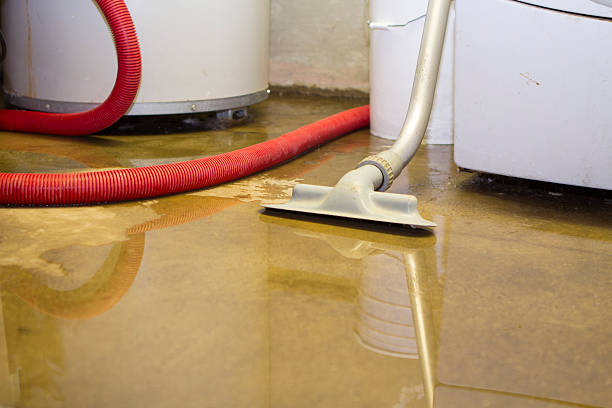 Best Residential water damage restoration  in Horton, KS
