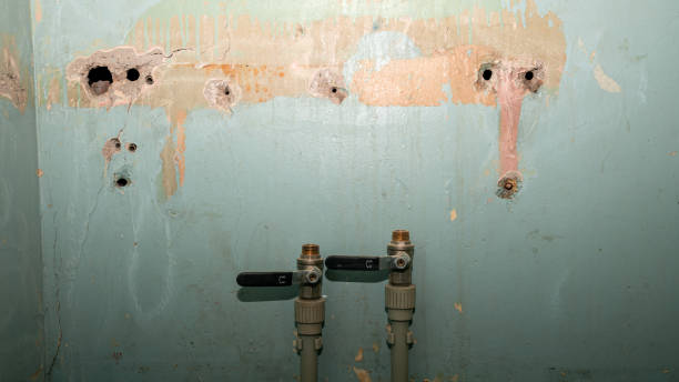Best Residential water damage restoration  in Horton, KS