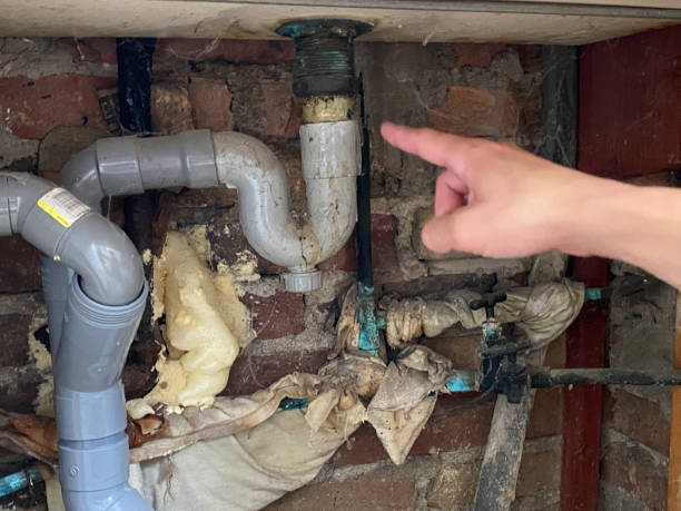 Best Carpet water damage restoration  in Horton, KS