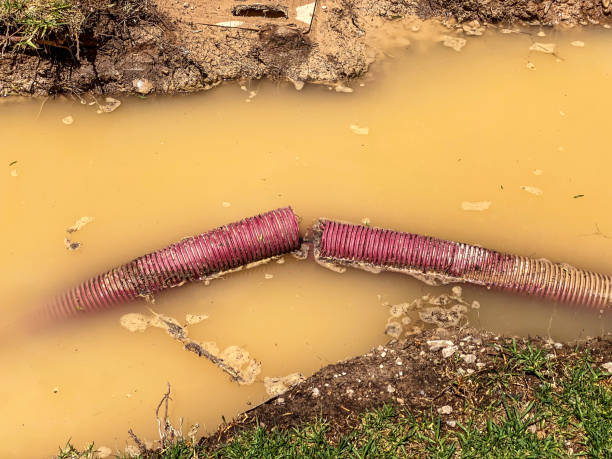 Best Flood damage cleanup  in Horton, KS